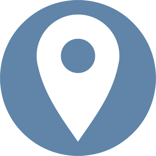 icon google